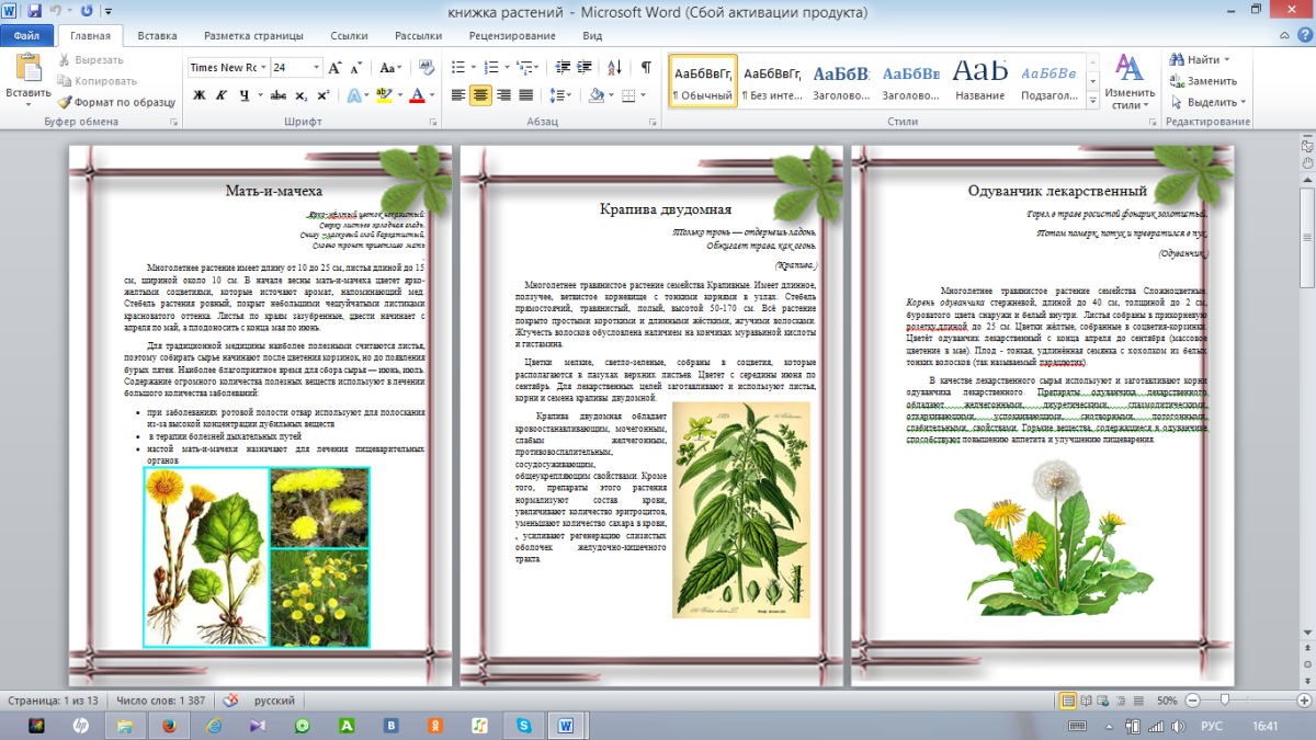 Проект Лесная аптека