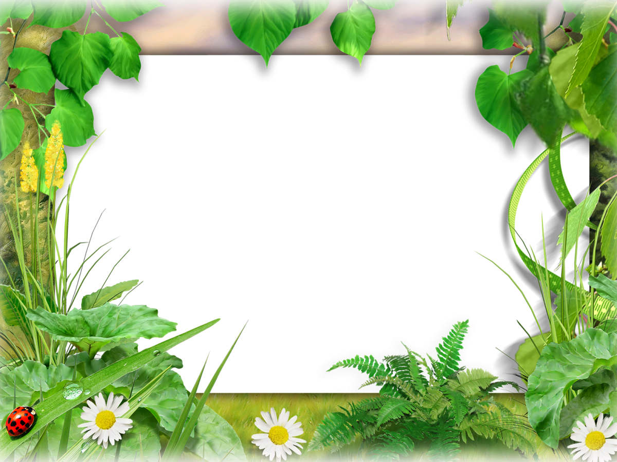 Летняя рамка для текста