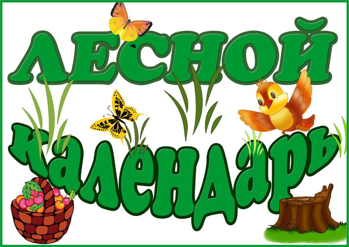 Лесной календарь картинки