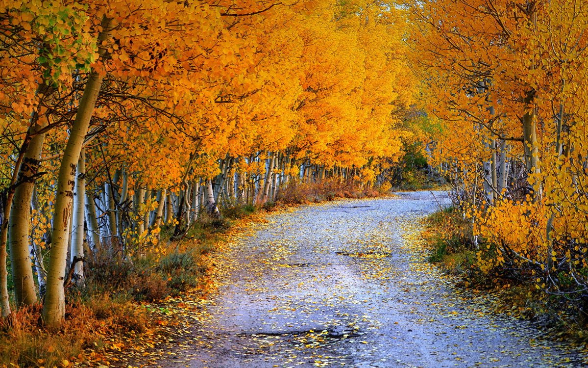 Природа осенью