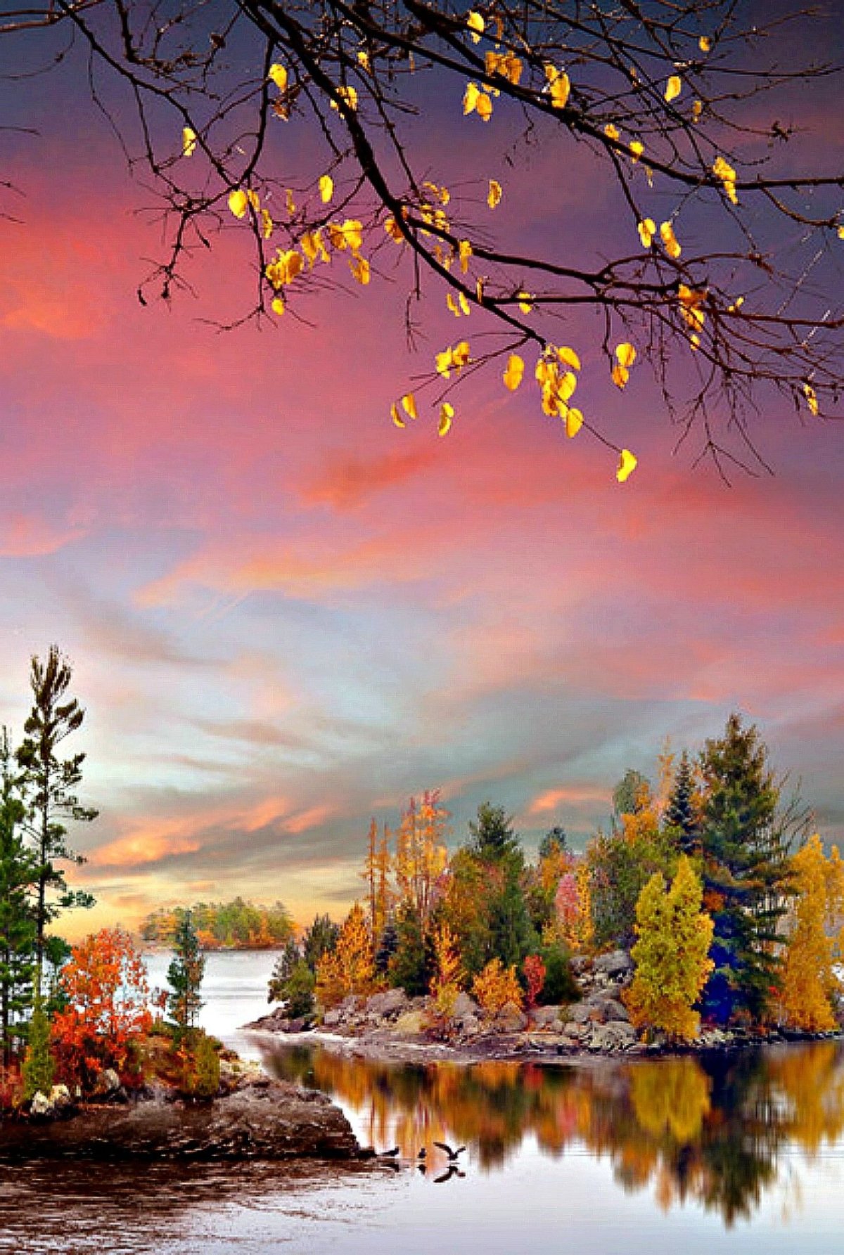 Осенний пейзаж вертикальный