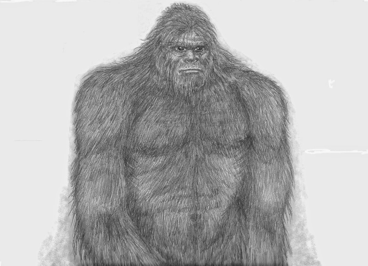 Сасквоч бибизяна