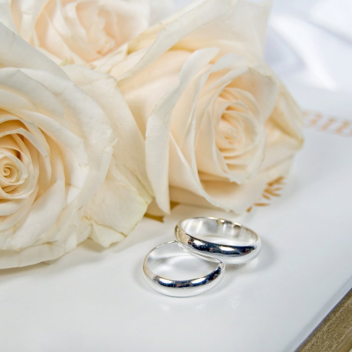 Цветы кольца свадьба