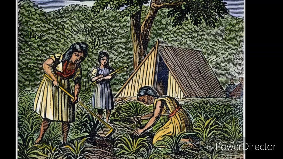 Земледелие индейцев Северной Америки