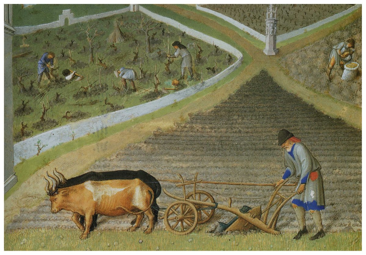 Сельское хозяйство в древнем Риме