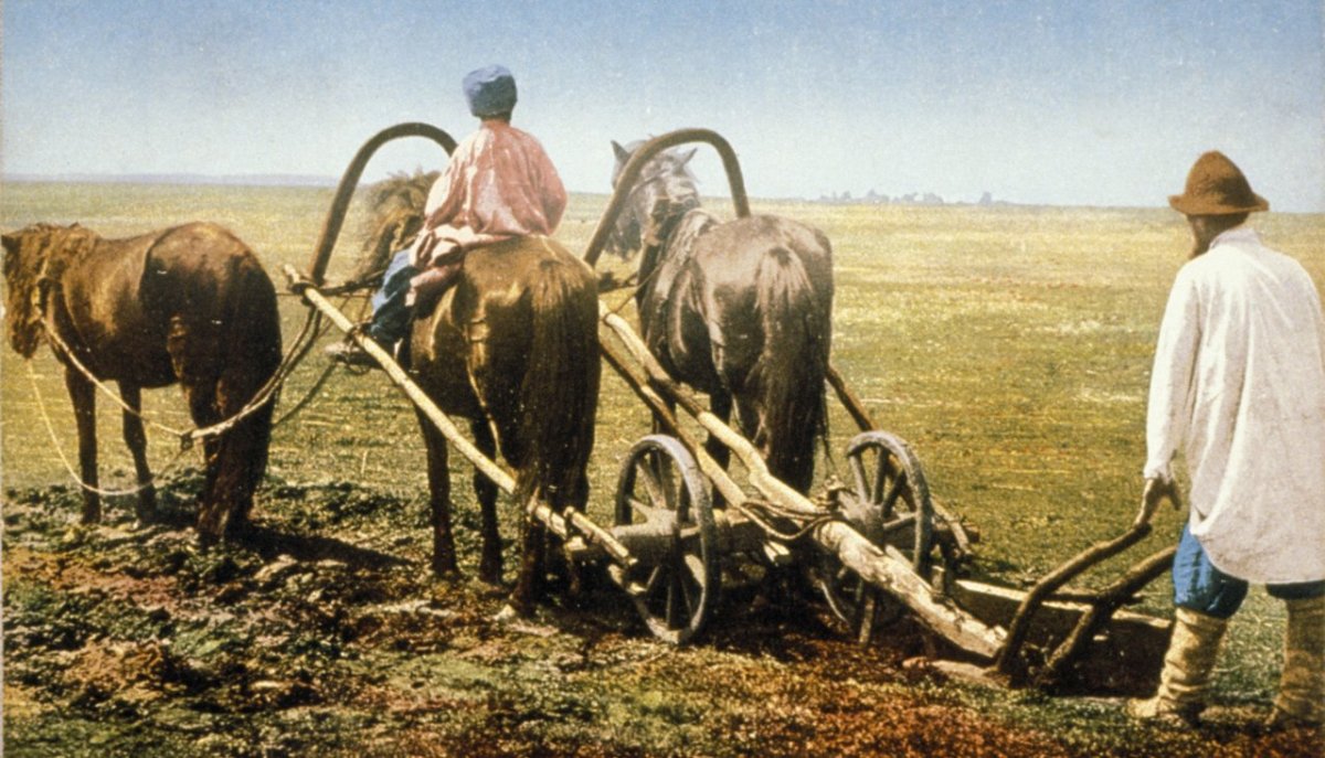 Земледелие крестьян 19 века