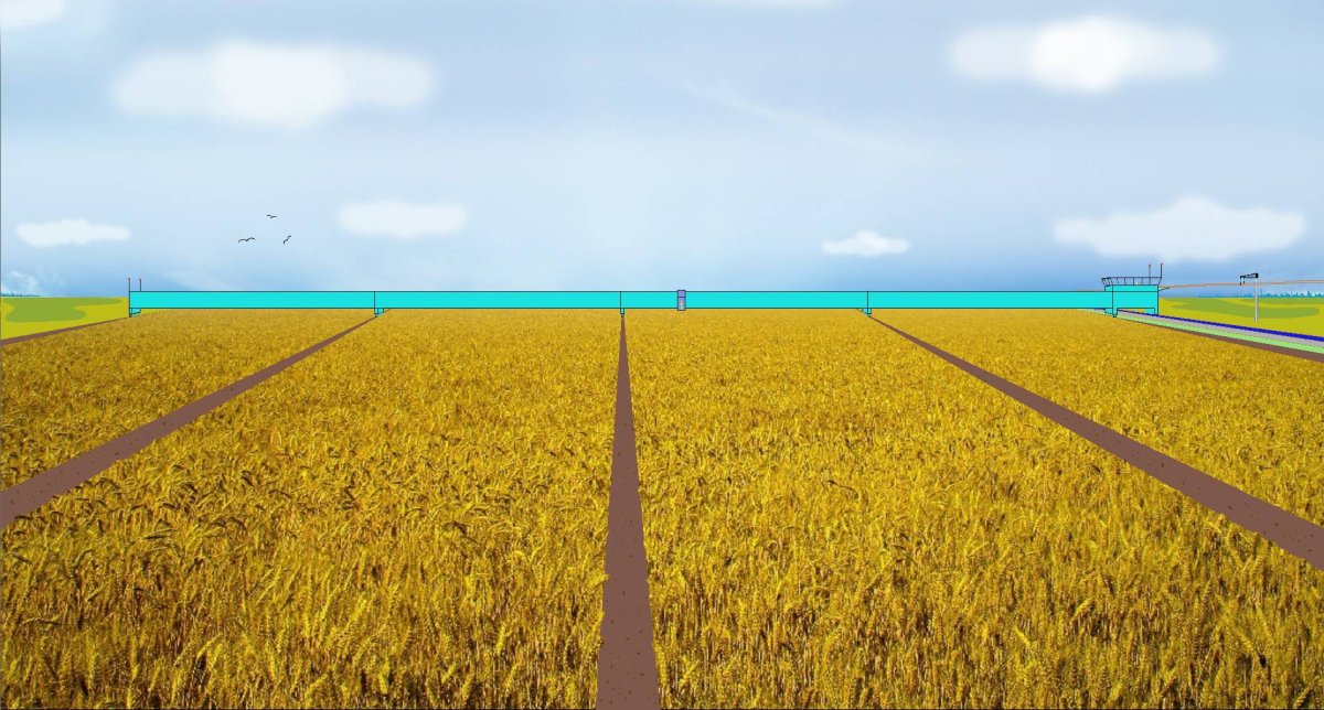 Орошение пшеницы