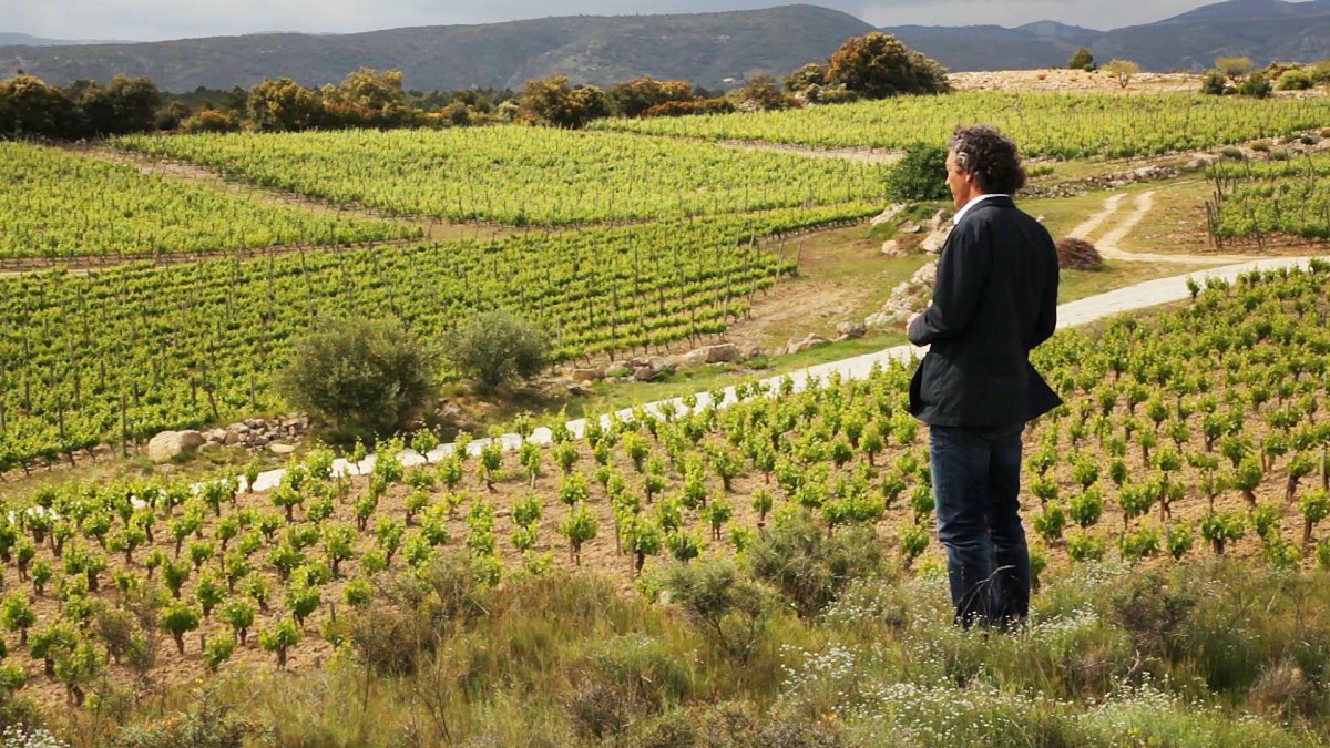 Биодинамическое сельское хозяйство