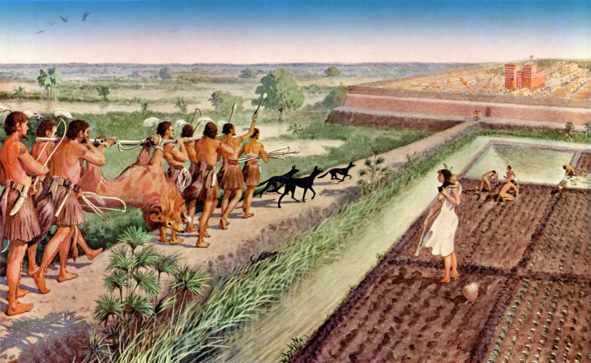 Хозяйство древнего Египта земледелие