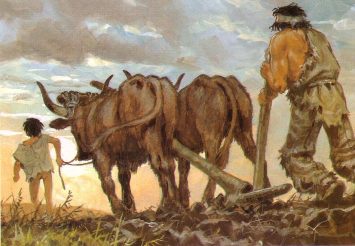 Земледелие и скотоводство Неолит