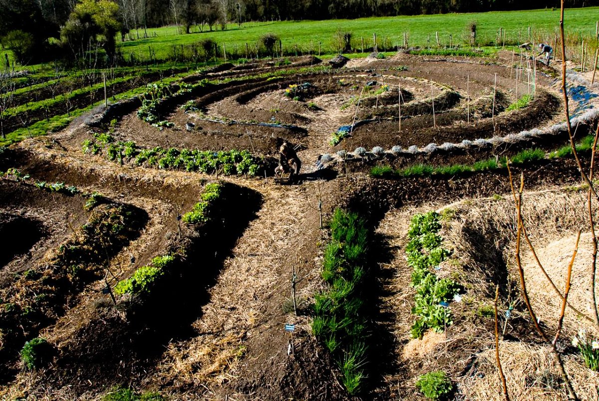 Грядки Зеппа Хольцера