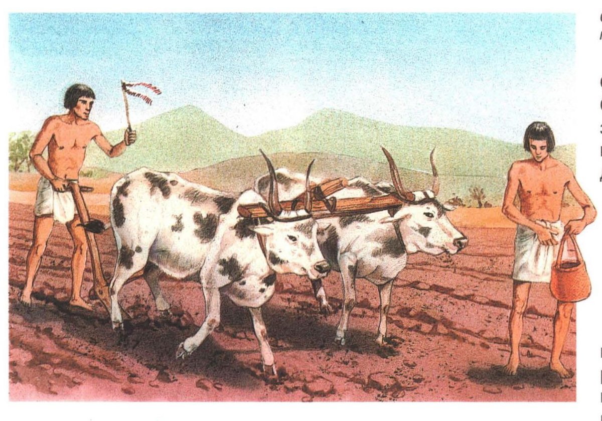 Земледелие в древнем Египте