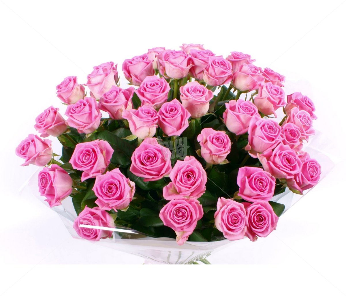 Поздравления с днём рождения Зарина