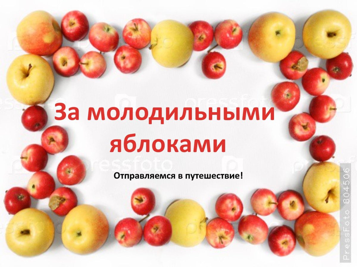 Гриб Молодильное яблоко фото