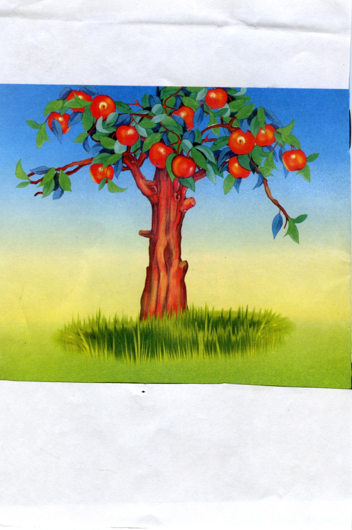 Молодильное яблочко яблоня