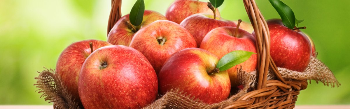 Яблоня и Молодильные яблочки