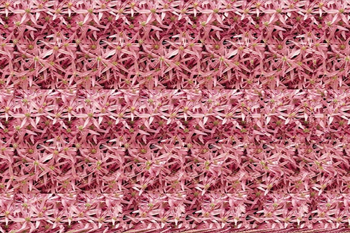 Фантомашки фантомашки фантомашки