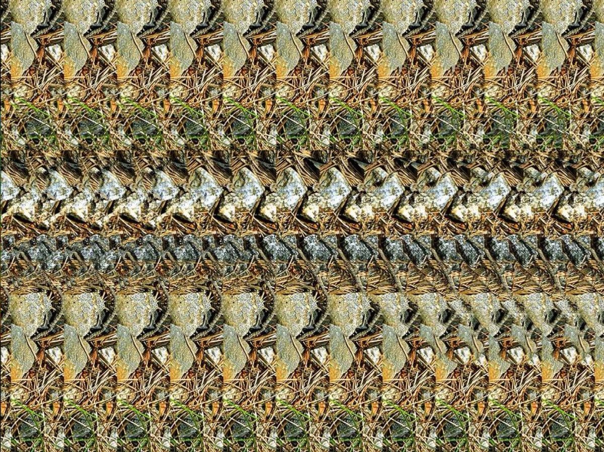 Стереограмма Скорпион