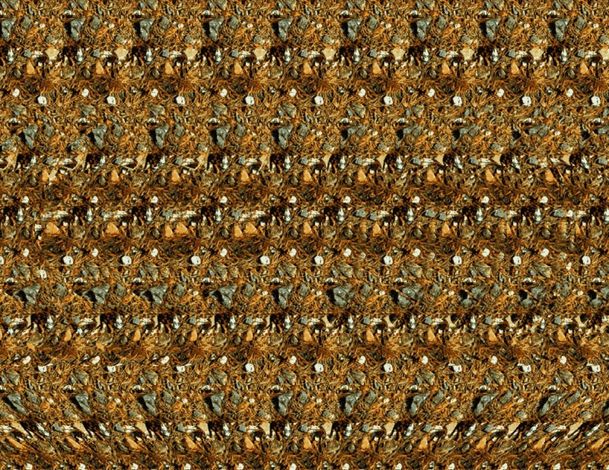 Скрытые изображения