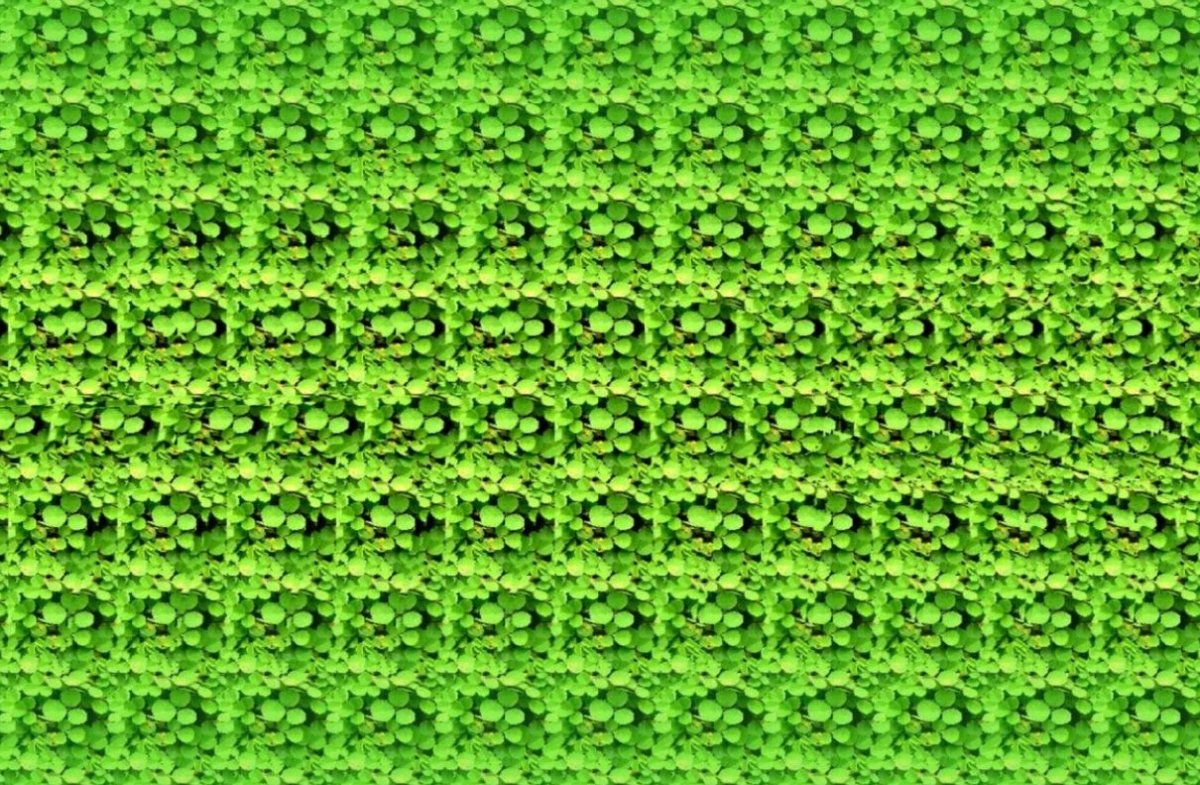 Кристофер Тайлер стереокартинки