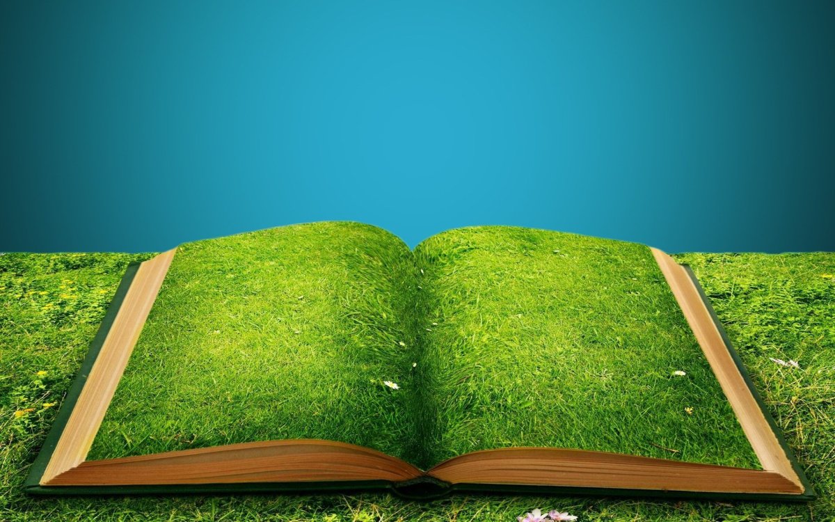 Книги на Светлом фоне