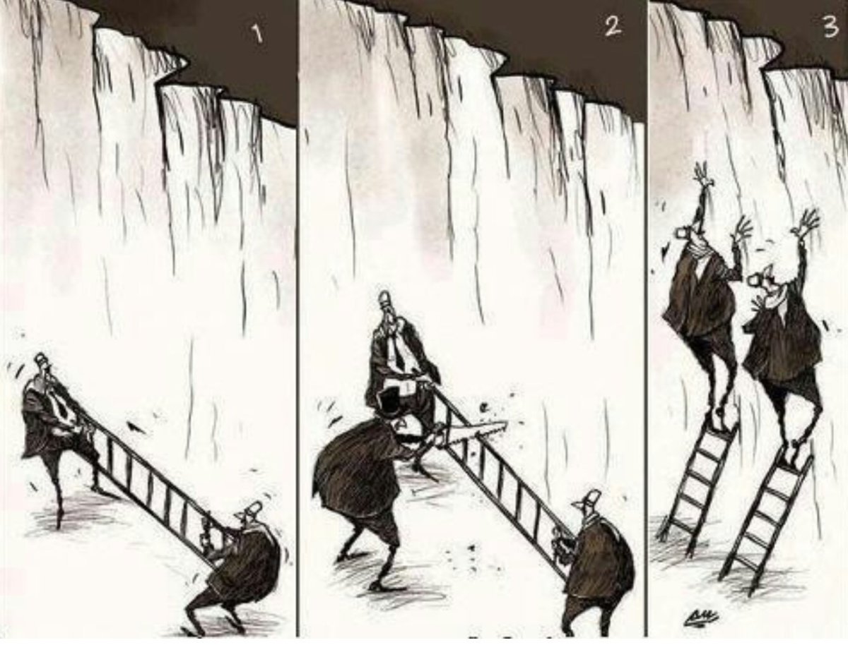 Здравый смысл карикатура