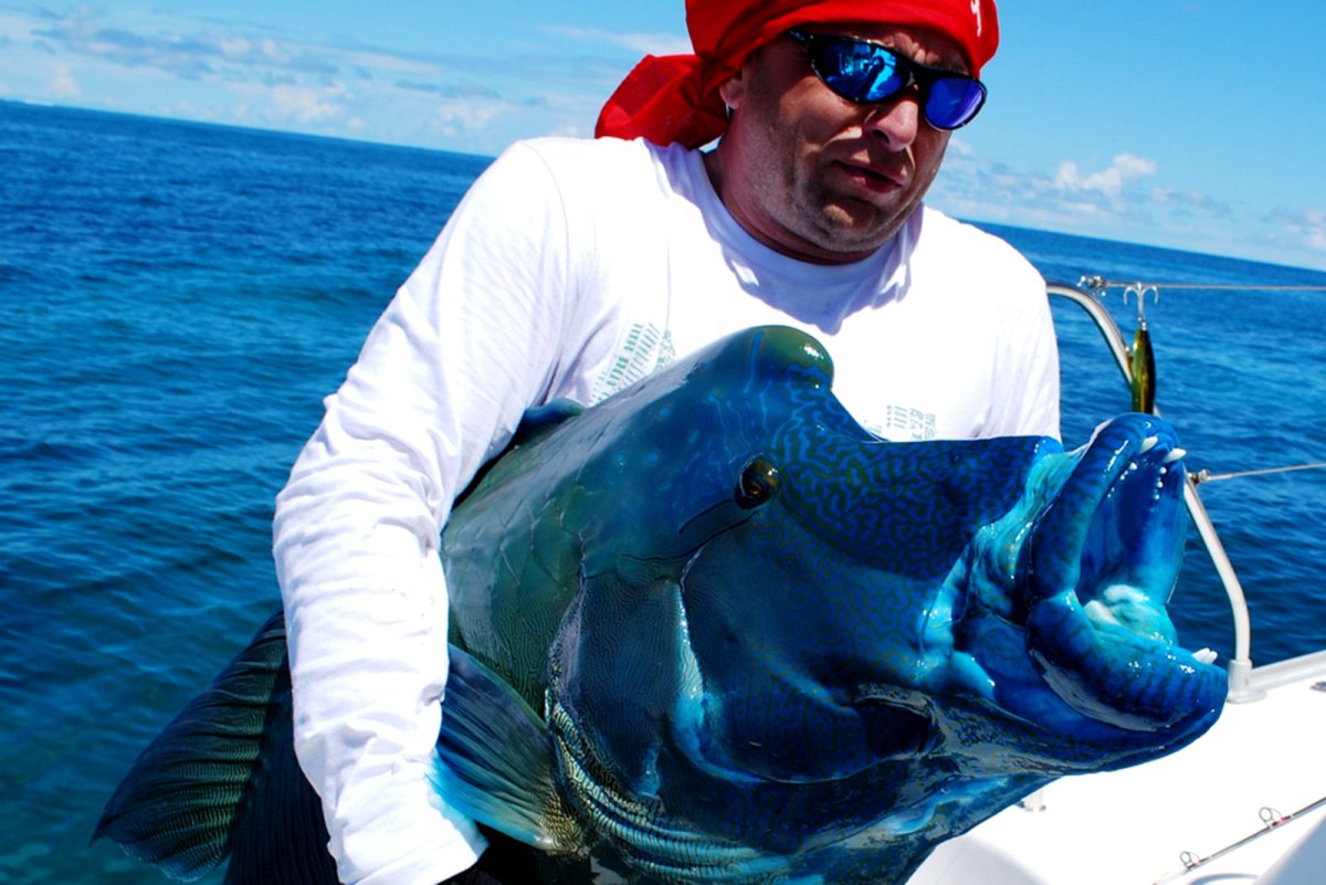 Смешные рыбы