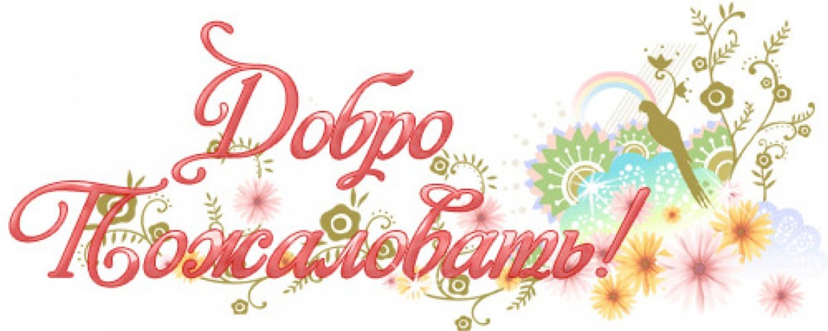 Добро пожаловать!