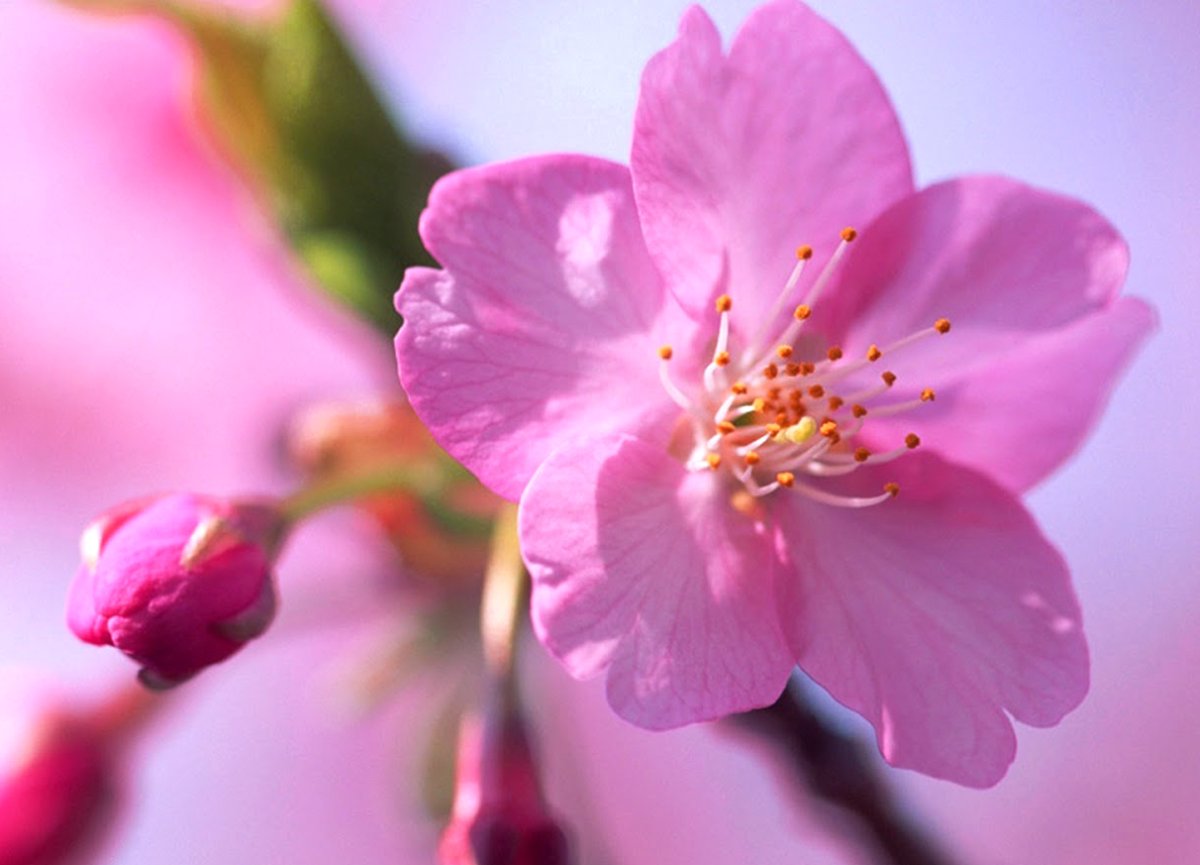 Добро пожаловать надпись детская