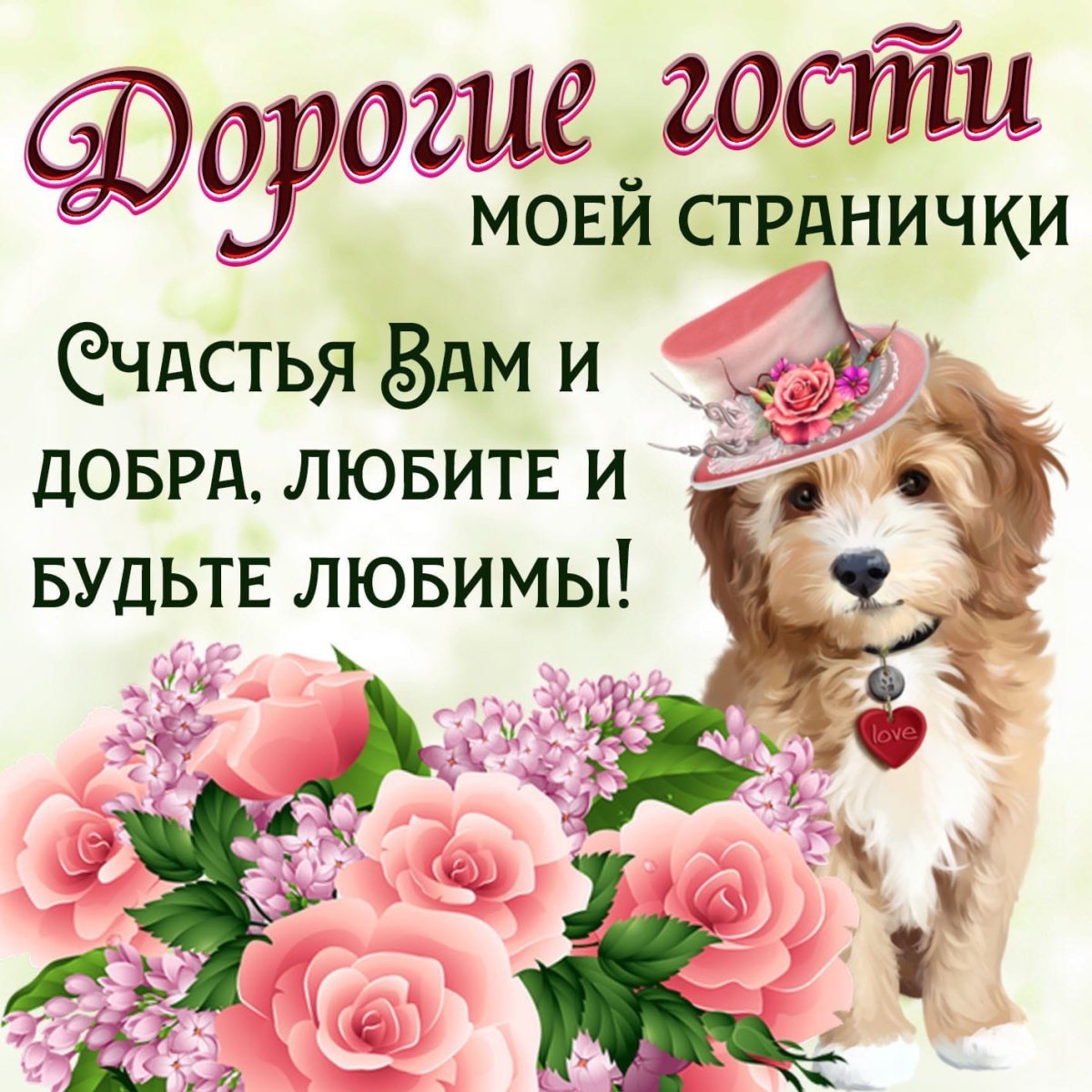 Добро пожаловать в мир красоты