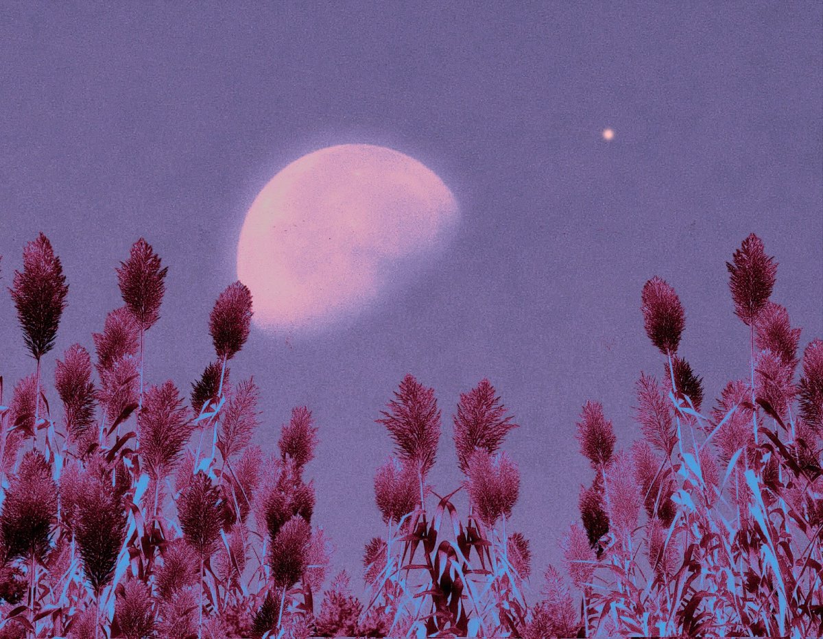 Луна Эстетика