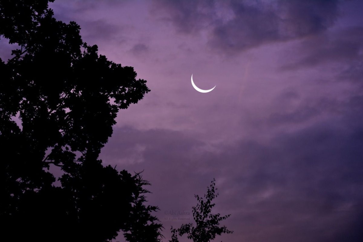 Тропическая ночь