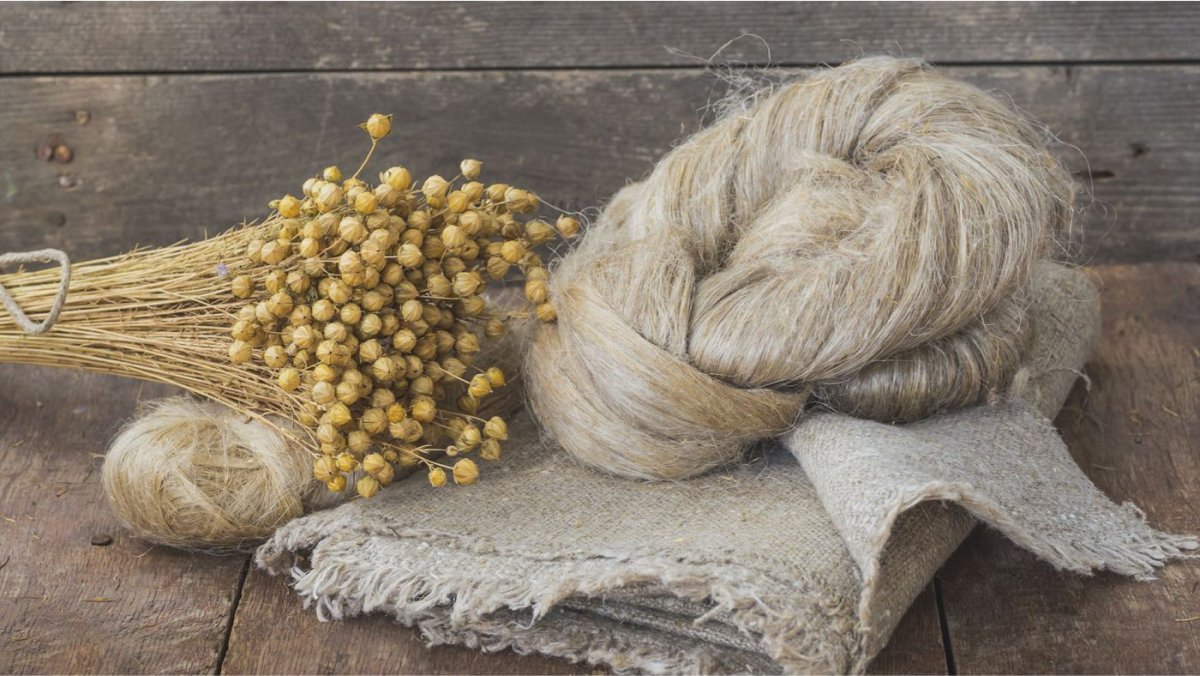 Цветок льна вектор