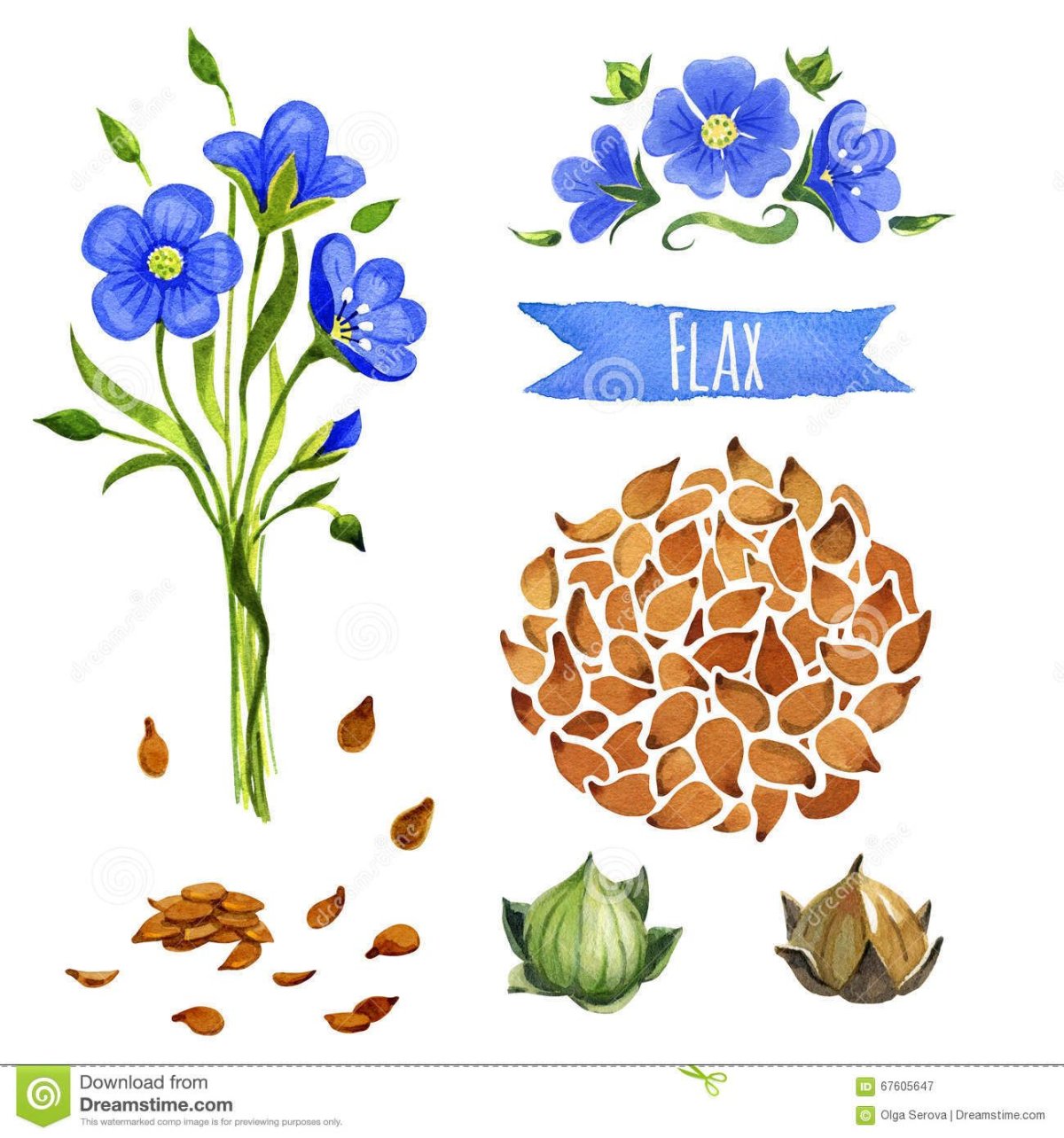 Детям про лён