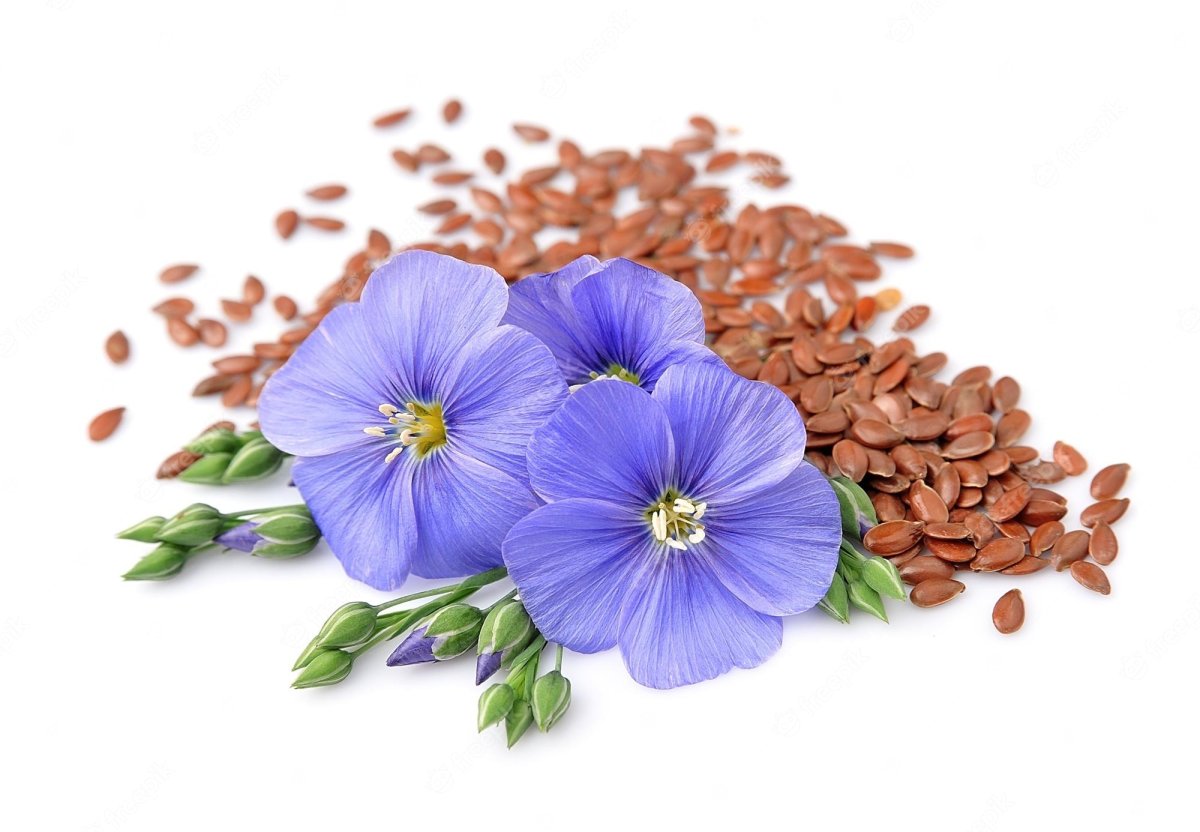 Синие Акварельные цветы