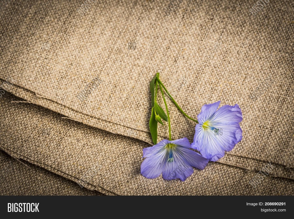 Вологодский лен салфетки линум