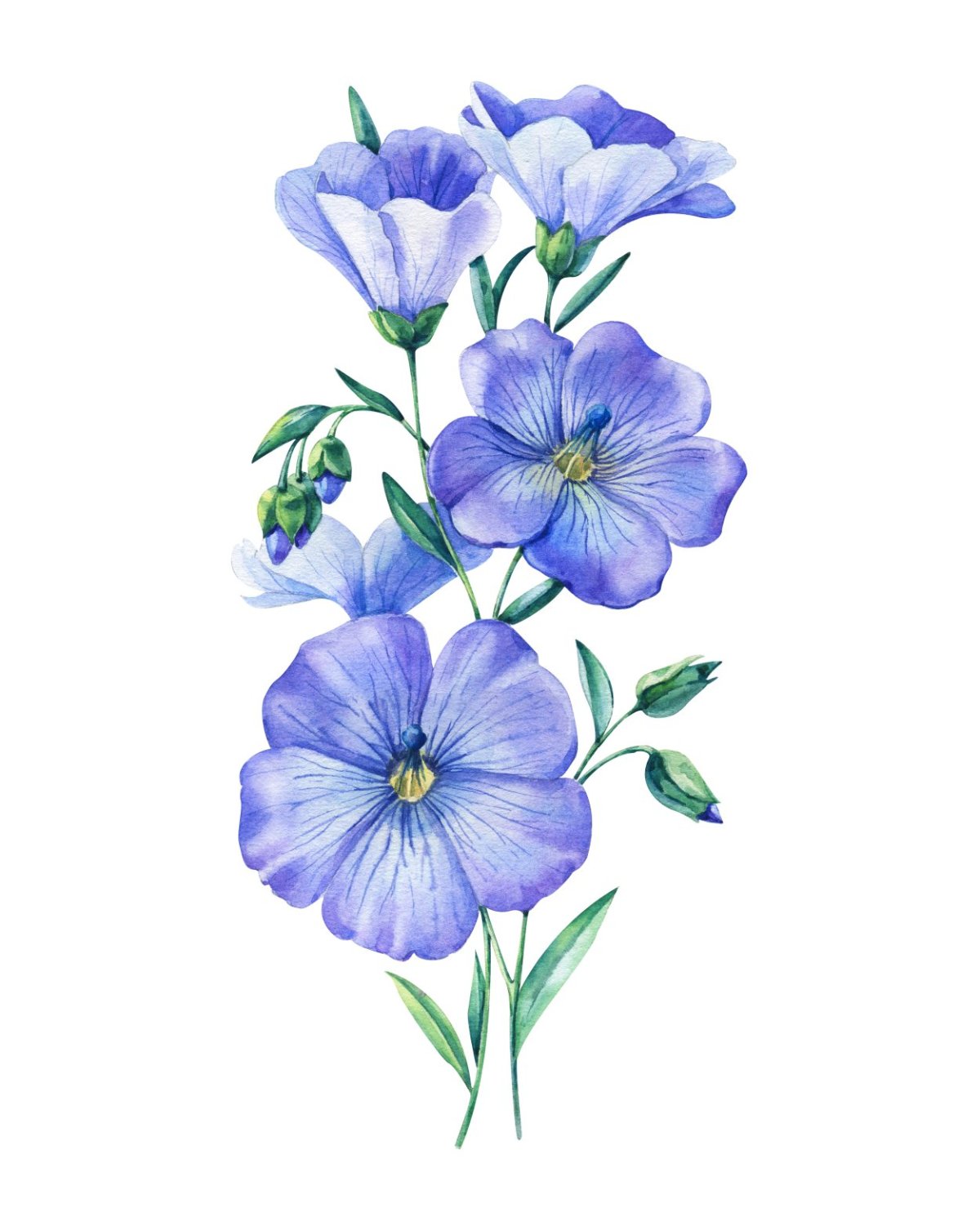 Лен растение вектор