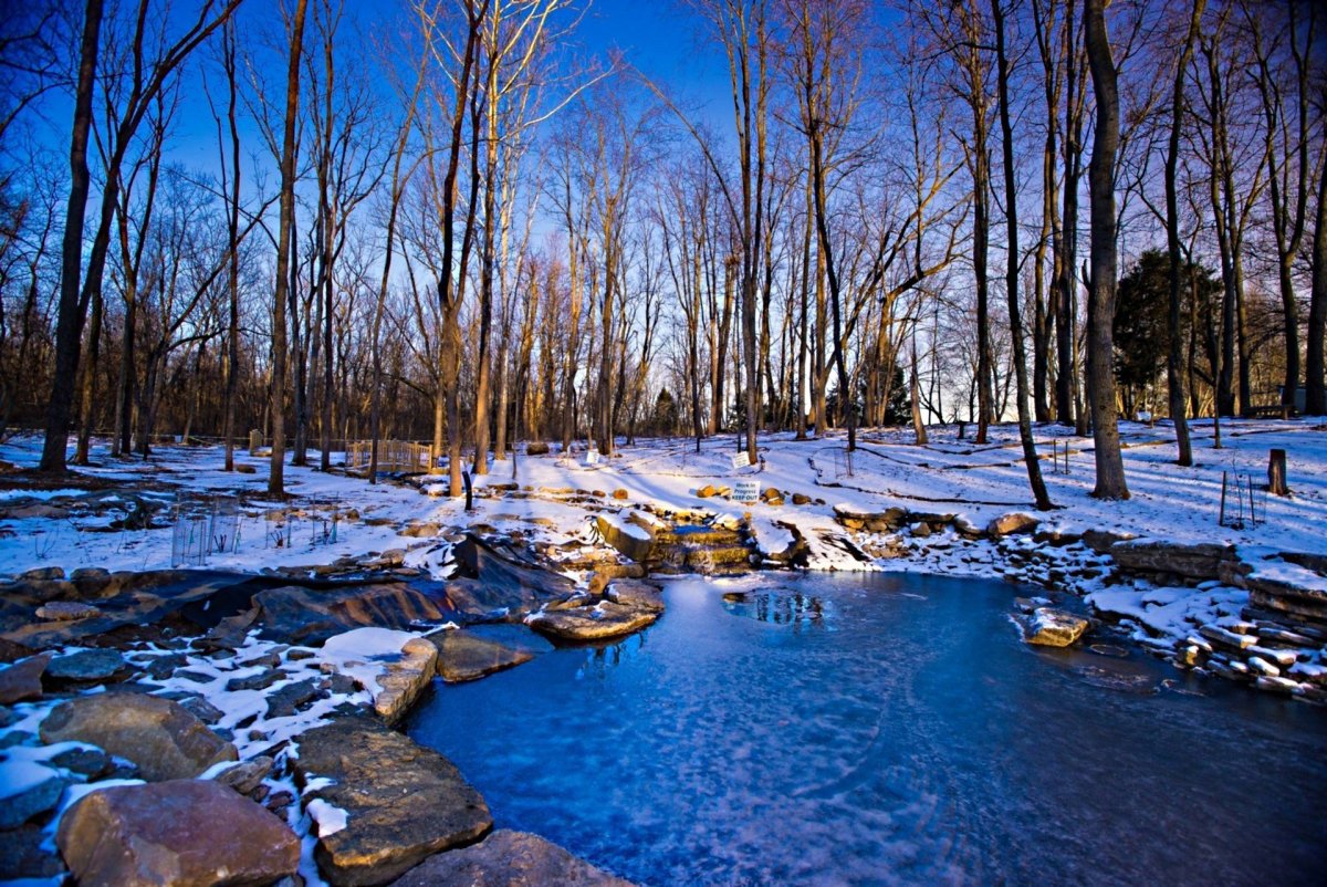 Природа ранней весной