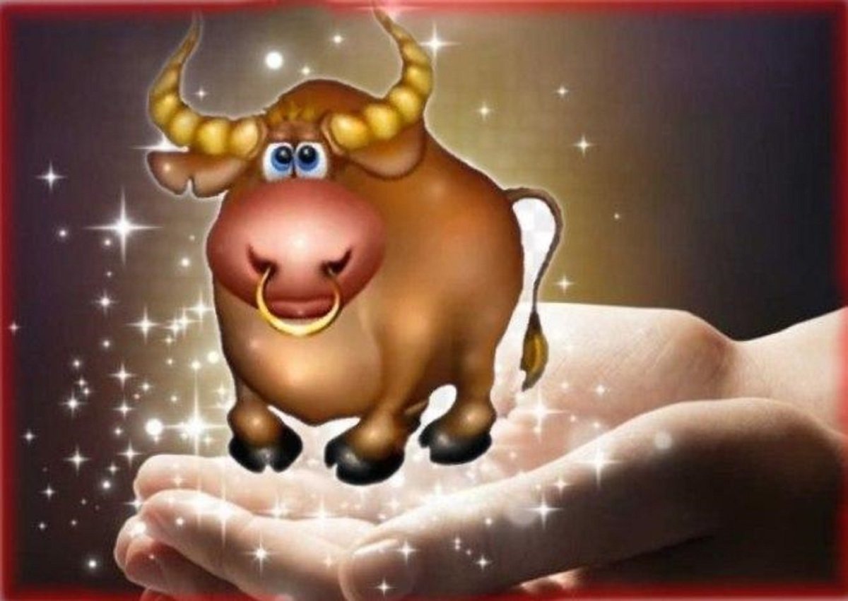 Голова бык Минимализм