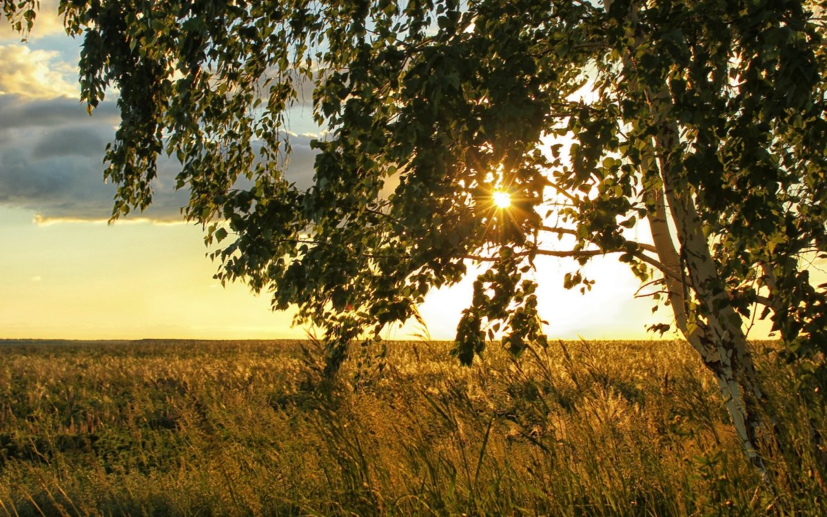 Природа России Есенин