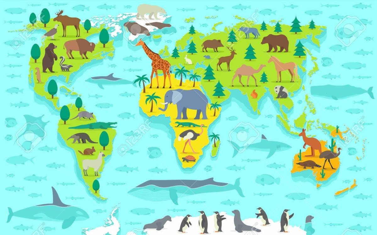 Материки карточки