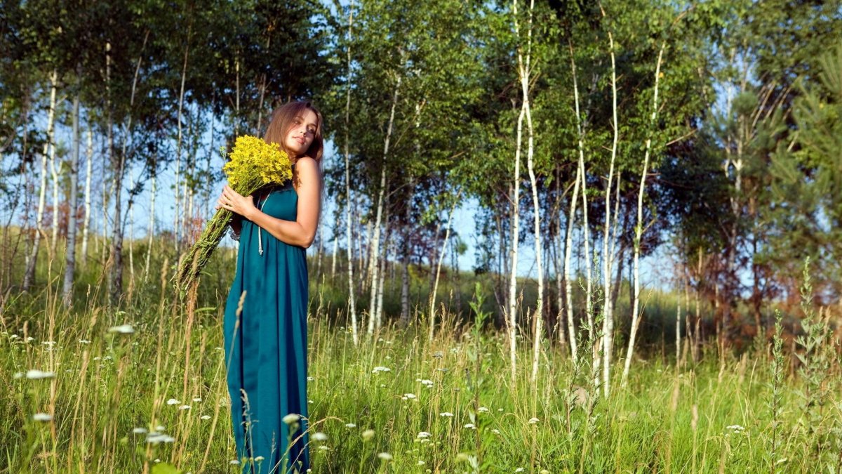 Ромашковое поле Россия