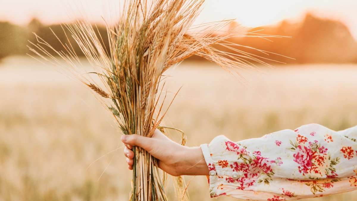 Девушка в поле ромашек