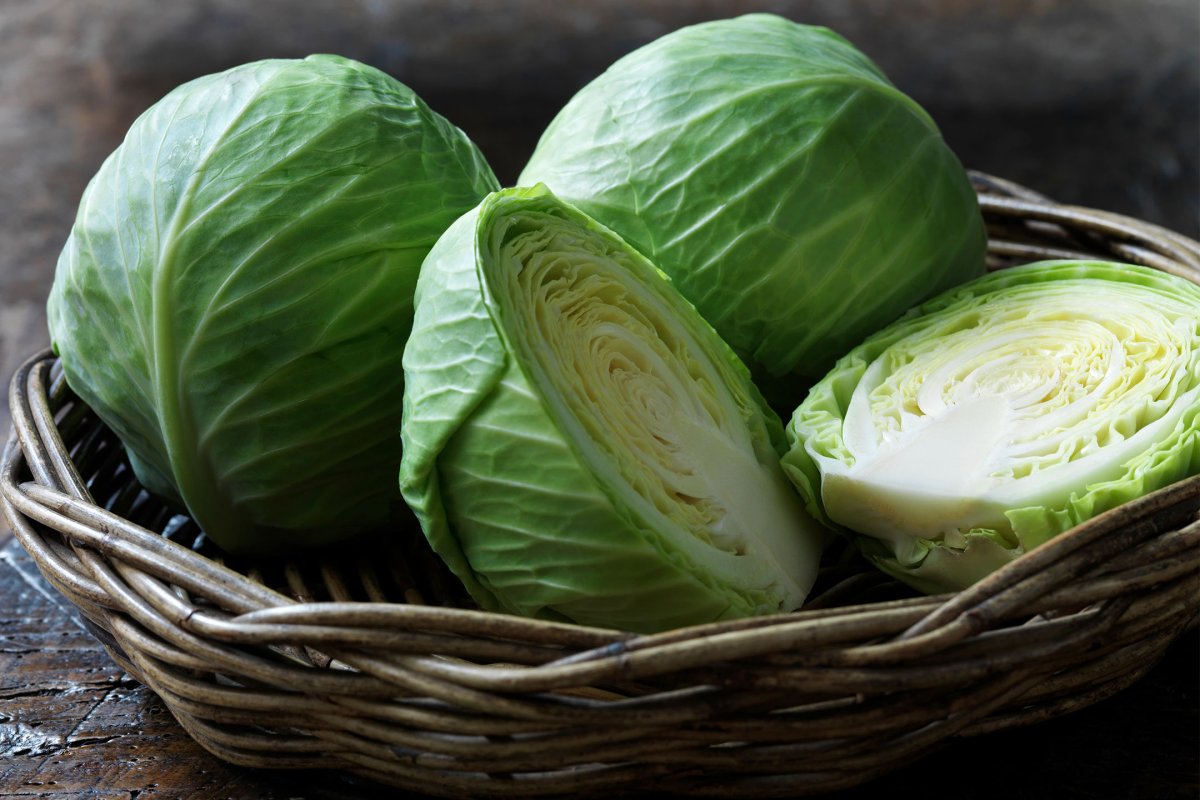 Капуста белокочанная