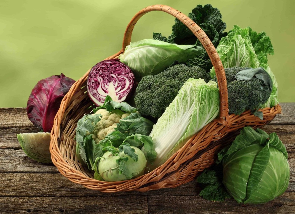 Брокколи и белокочанная капуста