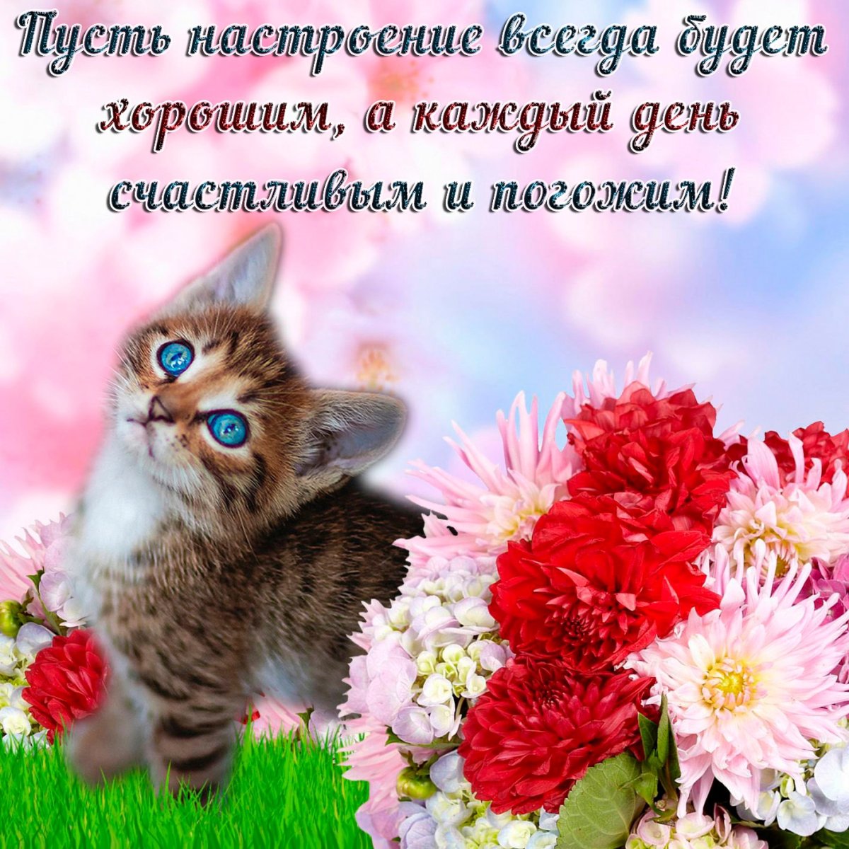 Хорошие пожелания