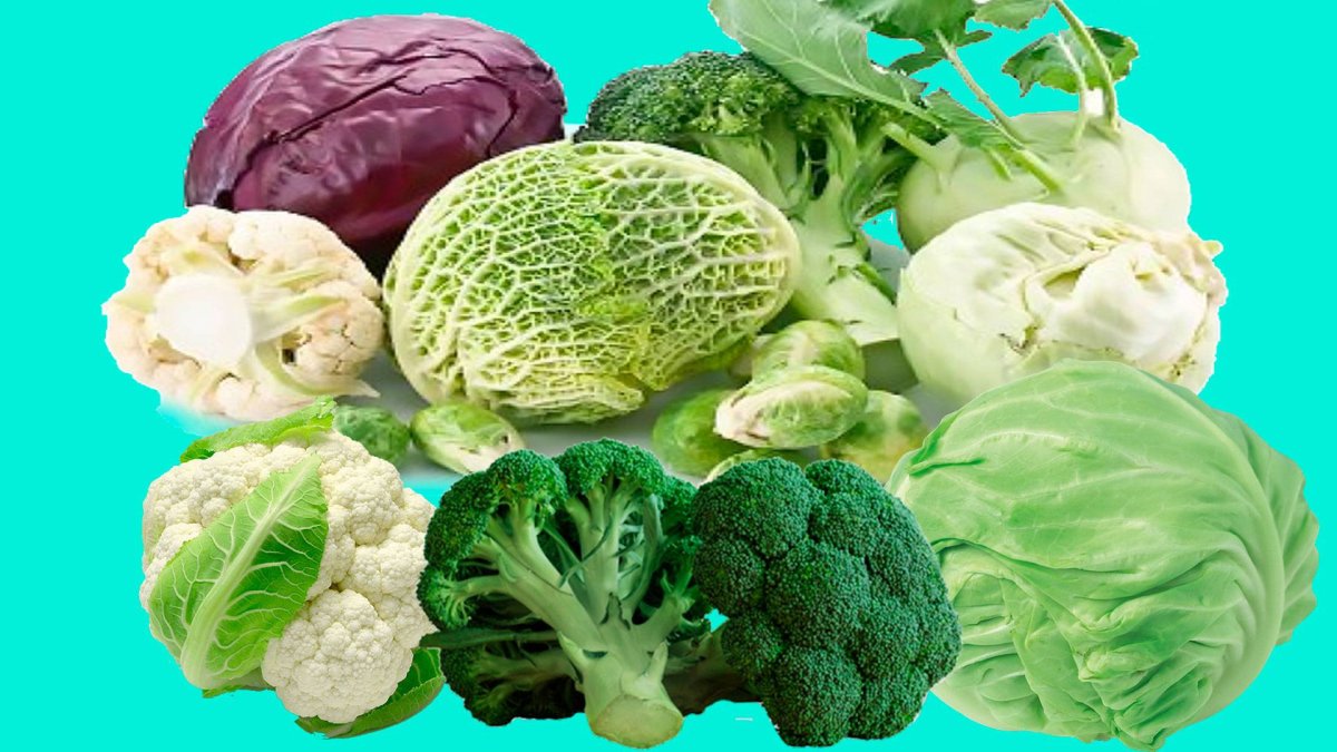 Пекинская капуста брокколи цветная