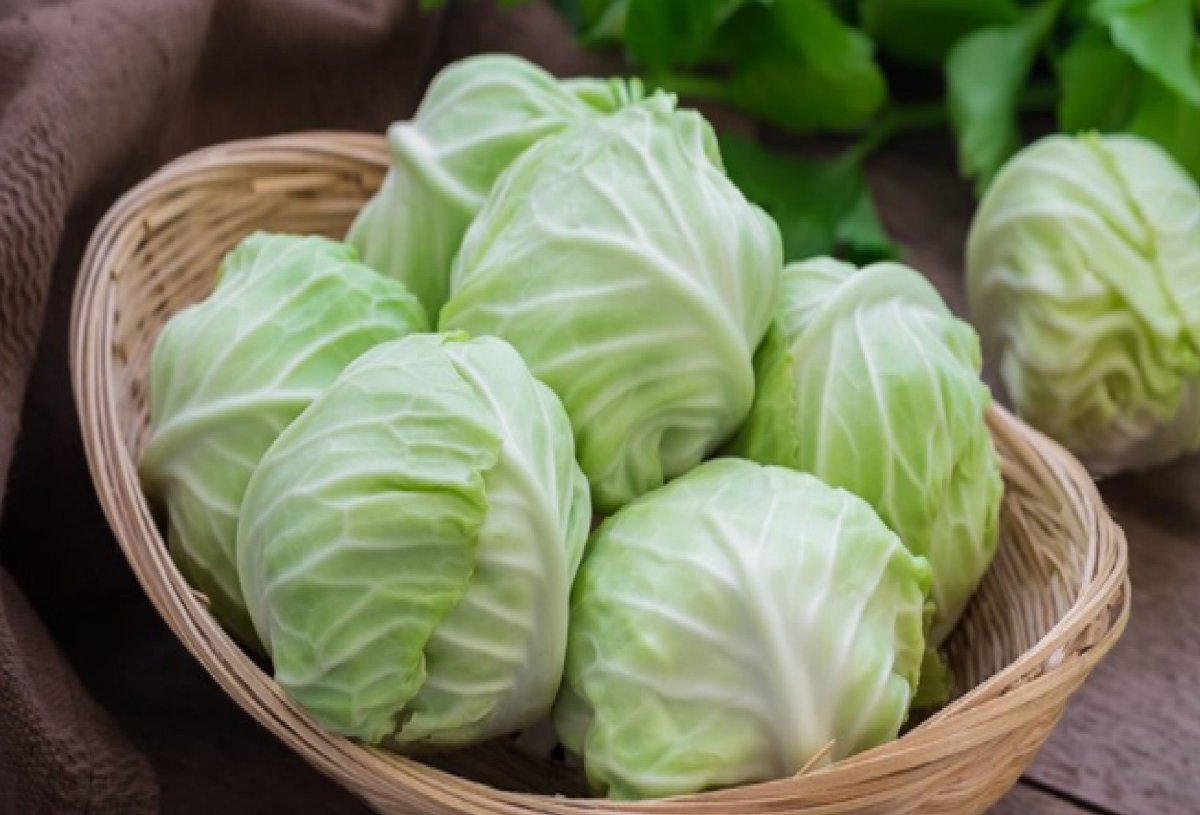 Капуста Cauliflower