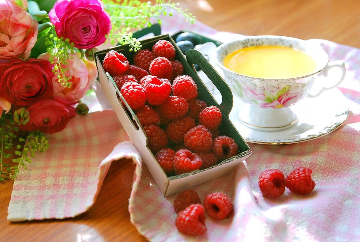 Животные в ромашках