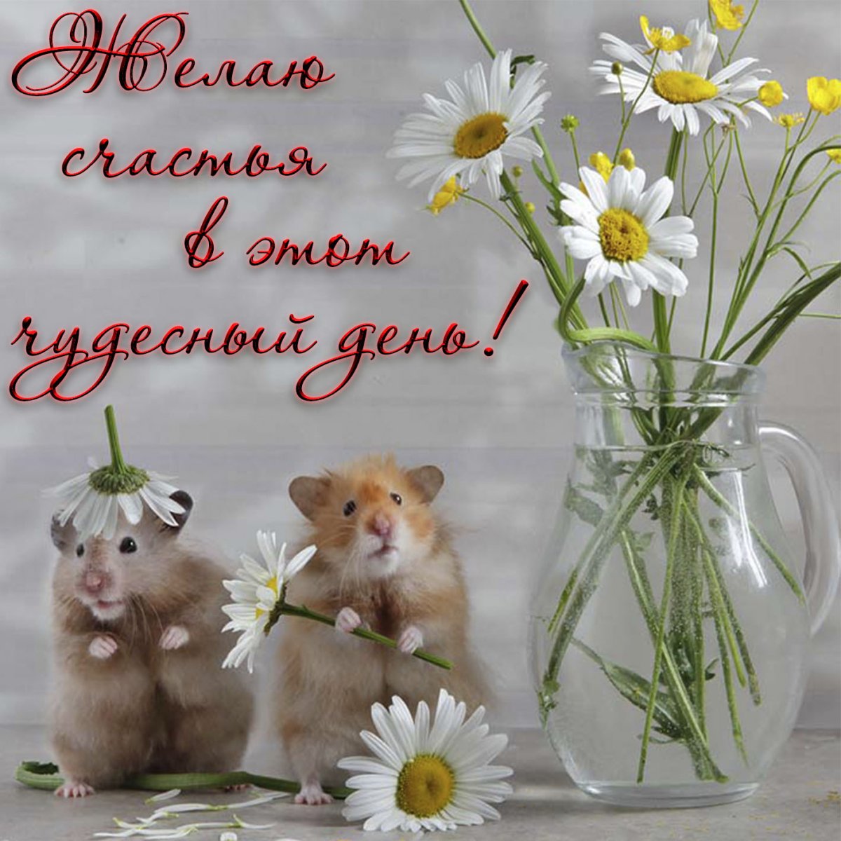 Приятные пожелания на каждый день